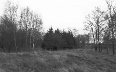 Blick in Richtung des ehemaligen Massengrabes auf dem Damm des "Ententeiches"