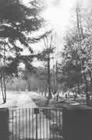 Friedhof für die Toten des sowietschen Kriegsgefangenenlagers Oerbke am Westrand des Truppenübungsplatzes