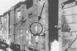 Ein KZ-Zug auf dem Schneverdinger Bahnhof 1945